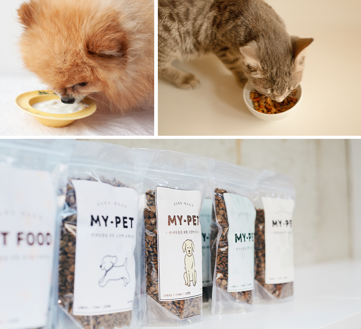 ���� ��Ḧ ���ְ� �԰� �ִ� �������� ������